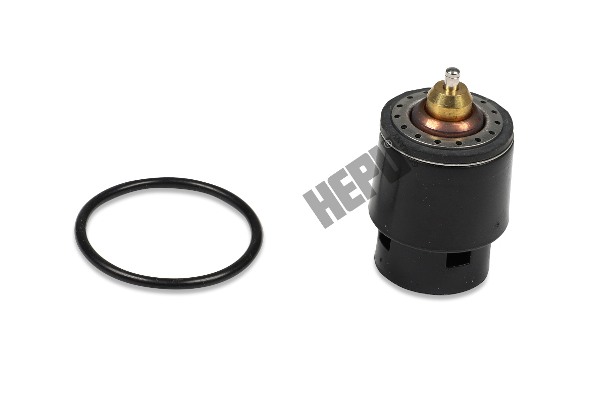 HEPU TM1241 Thermostat,...